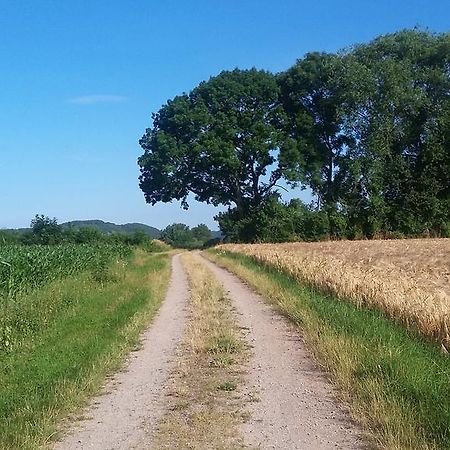 Landgasthof Zur Untermuehle Datterode Kültér fotó