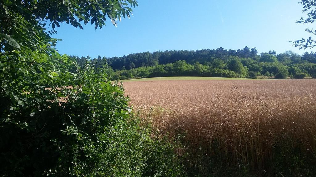 Landgasthof Zur Untermuehle Datterode Kültér fotó
