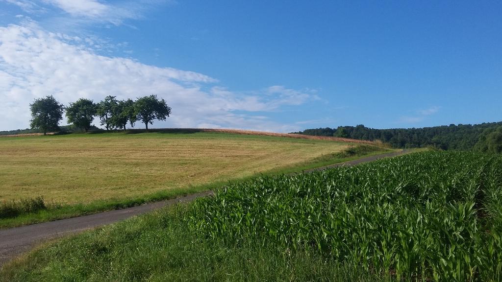Landgasthof Zur Untermuehle Datterode Kültér fotó
