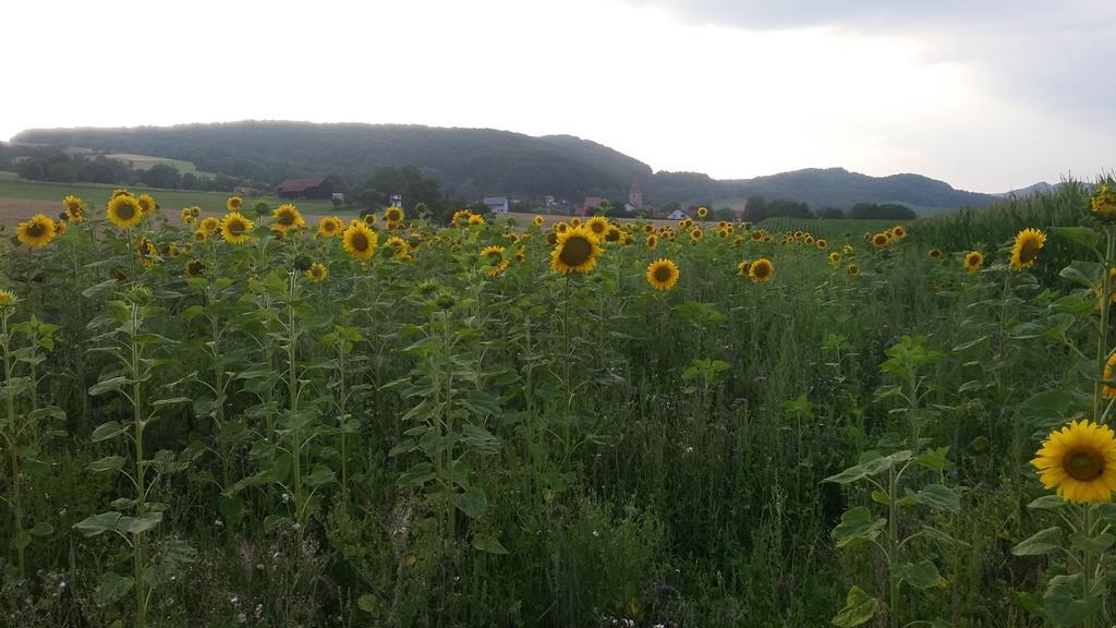 Landgasthof Zur Untermuehle Datterode Kültér fotó