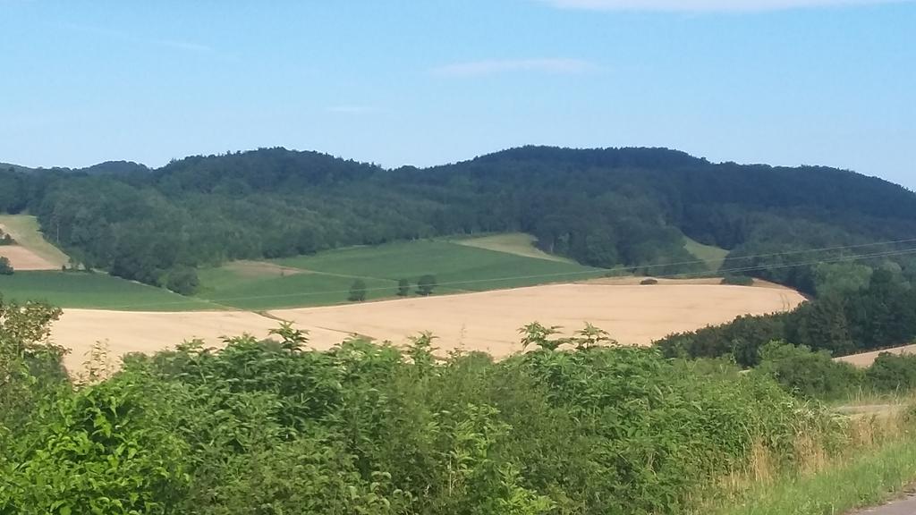 Landgasthof Zur Untermuehle Datterode Kültér fotó