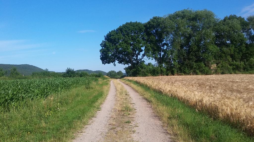 Landgasthof Zur Untermuehle Datterode Kültér fotó